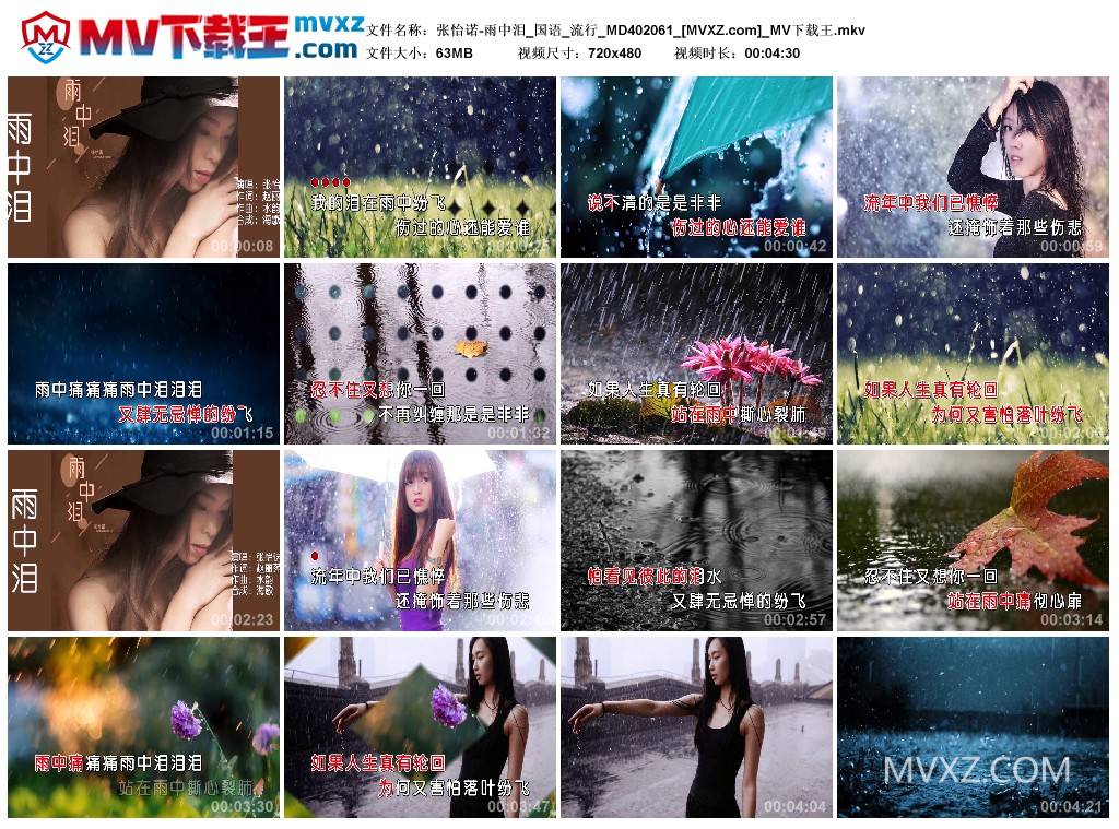 张怡诺-雨中泪_国语_流行_MD402061